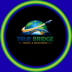 true bridge logo